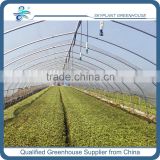 Greenhouse Spray Irrigation System for vegetables                        
                                                Quality Choice
