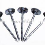 Hot Sale Twist Roofing Nail(SW-043B)