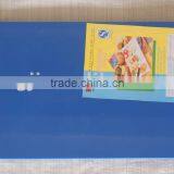 Color Chopping Board PE Plastic