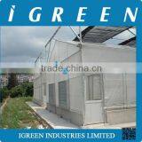 Single Span Polycarbonate Sheet Greenhouse for Orchid thumbnail-5