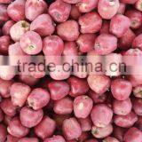 Huaniu Apple thumbnail-1