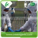 Fresh Quail Eggs Export India thumbnail-1