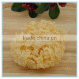 Chinese Snow Fungus Mushroom thumbnail-1
