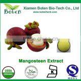 Factory Supply Kosher Certified Mangosteen Juice Powder thumbnail-1