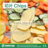 FC-301 Stainless Steel Multi-functional Vegetable Leaf and Root Cutting Cutter Machine thumbnail-6