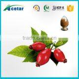 HACCP factory manufacturing benefit of Fructus Rosae Extract Powder