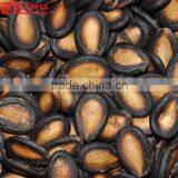 Raw Processing Type Original Flavor Water Melon Seeds thumbnail-1