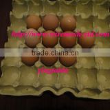 hatching eggs plastic egg tray