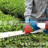 Hand Hold Hedge Trimmer for Afforestation of Garden and City thumbnail-1