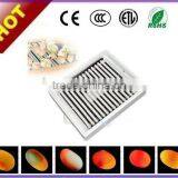 Bird Egg Incubator Semi-automatic Egg-turning Welcome