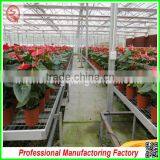 Large and Practical PC Sheet Multi-span Greenhouse With Professional Manufacturer thumbnail-6