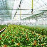 Drip Irrigation Polyethylen Pipe 16mm thumbnail-4