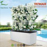 TG15-0284 Garden Furniture Planting White Rattan Garden Planters thumbnail-1