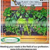 6-pocket Vertical Garden,Living Wall Planters,Living Wall Pots thumbnail-1