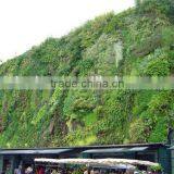 Top Quality Artificial Plant for Decore Artificial Plant Wall Outdoor thumbnail-3