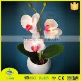 2015 Sweet Decoration Good Quality Led Flower for Sale thumbnail-1