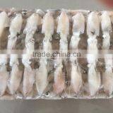 Frozen Baby Loligo Squid thumbnail-1