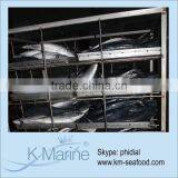 Bonito Tuna Fish In Processing Line Lot Number#kmw4325 thumbnail-1