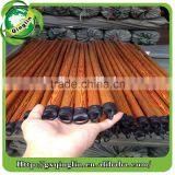 Chinese Broom Stick,palm Tree Stick Made in Guigang Qinling thumbnail-6