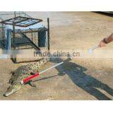Animal Control Pole thumbnail-1