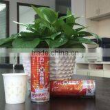 240ml Canned Drink Walnut Almond Juice thumbnail-3