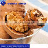 Walnut Professional Import Agent Service Shanghai Trade Agency