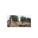 OEM Playground Equipment Slides Disco and Amusement Parks Roller Coasters thumbnail-1