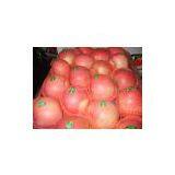 Qinguan Apple thumbnail-1