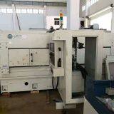 Taiwan WEI TAI WT-1225XL CNC Horizontal Rubbing Machine