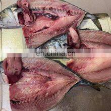 Raw Frozen Pacific Mackerel Fish Whole Round for Export thumbnail-4
