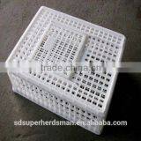 Chicken Turnover Box for Day Box thumbnail-1