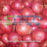 Fresh Red onion 2015 new crop from SITCO