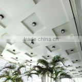 Customed Non-standard aluminum ceiling AC0124-1
