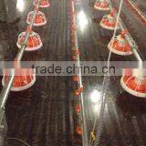 Broiler Ground Raising Equipment Chicken House thumbnail-3