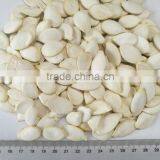Fresh Best Cheaper Snow White Pumpkin Seed Suppliers thumbnail-4