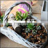 different shape wicker flower basket for plant