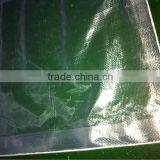 Transparent PE Tarpaulin, 140gsm Clear Poly Tarp With pp Rope Reinforced