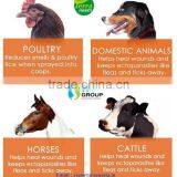 Pure Neem Oil Price thumbnail-4