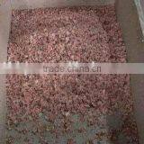 Bone Cutting Machine thumbnail-3