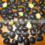 black soybean with green kernel