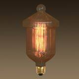 Antique Style Edison Bulb