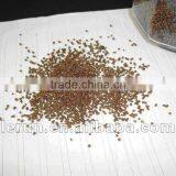 Stainless Steel Fish Food Production Equipment thumbnail-1