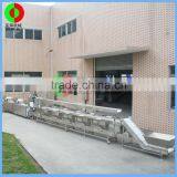 New Developed Vegetable and Fruit Sorting Cutting Washing Drying Automatic Machine Production Processing Line With Zone thumbnail-3