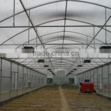 greenhouse plastic film for flower and vegetables pe covering film