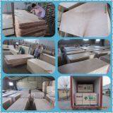 PLYWOOD DOOR SKIN thumbnail-1