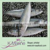 Frozen Seafood For Canned Fish Lot Number#kmw4047 thumbnail-1