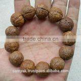 Buddha Chitta 13 Beads Bodhi Seed Genuine Indonesian Phoenix Eye Mala Phrengba thumbnail-4