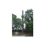 Elm Tree Tower thumbnail-2