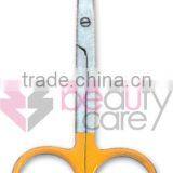 Manicure Scissors/High Quality Scissors/Stainless Steel Scissors