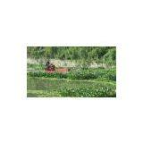 Weeding Boat/aquatic Weed Harvester